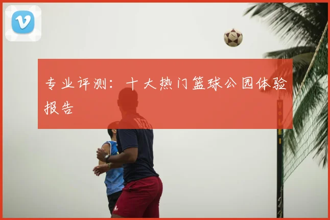 专业评测：十大热门篮球公园体验报告