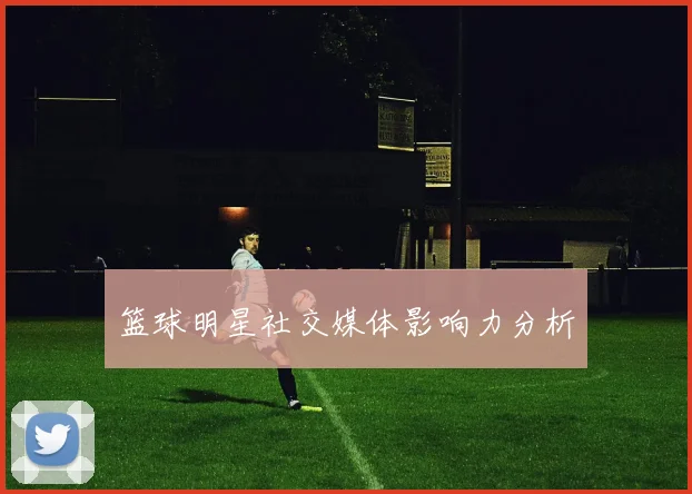 篮球明星社交媒体影响力分析